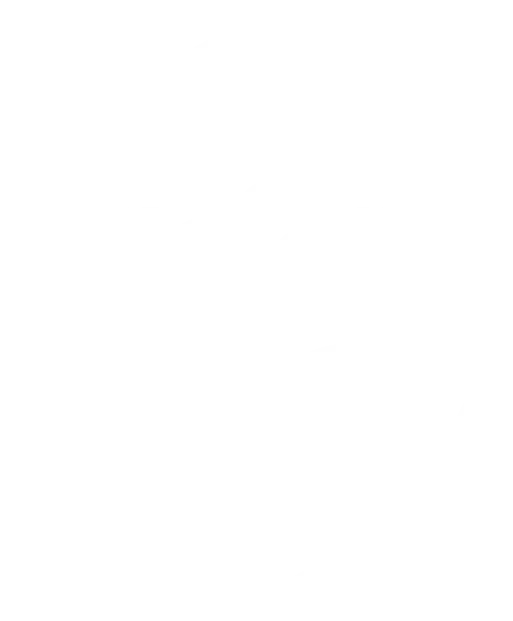 Shield Logo